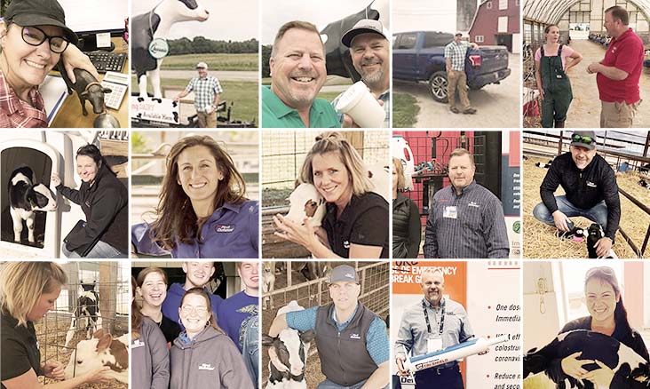 sales-team-grid-fd