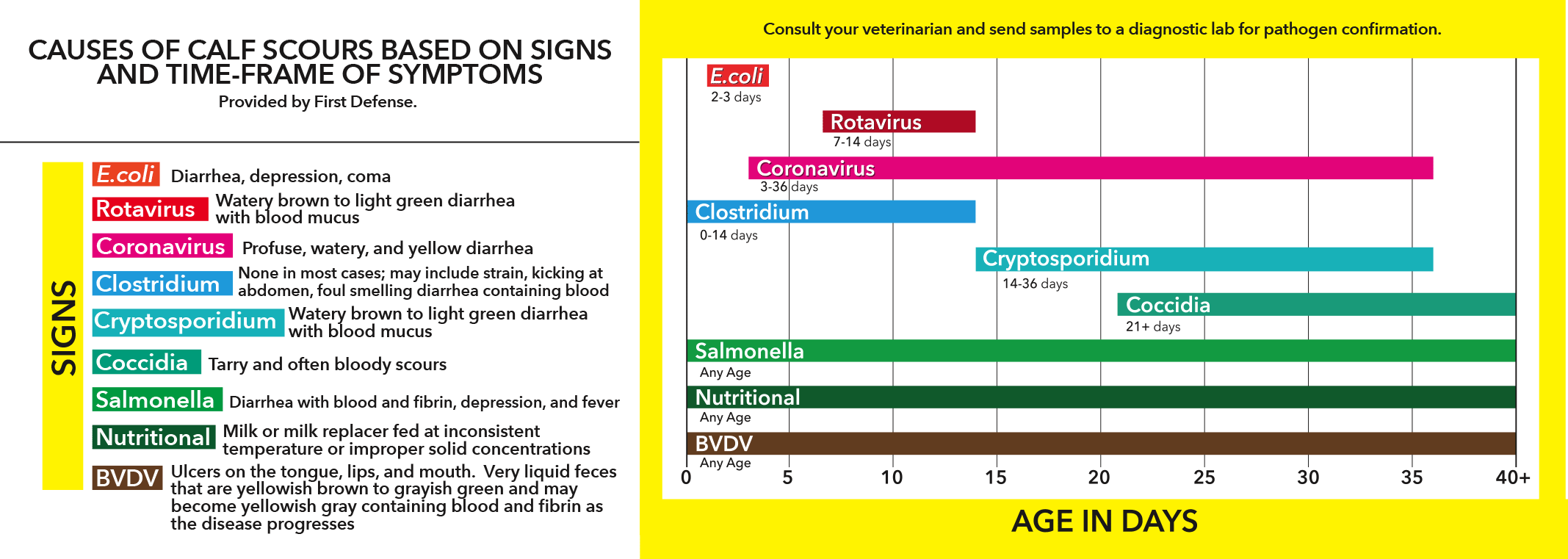 CAUSES OF CALF SCOURS BASED ON SIGNS AND TIME-FRAME OF SYMPTOMS