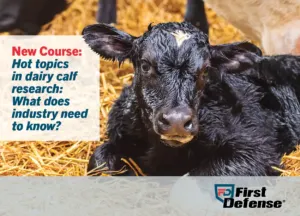 Hot Topics in Dairy Calf Research